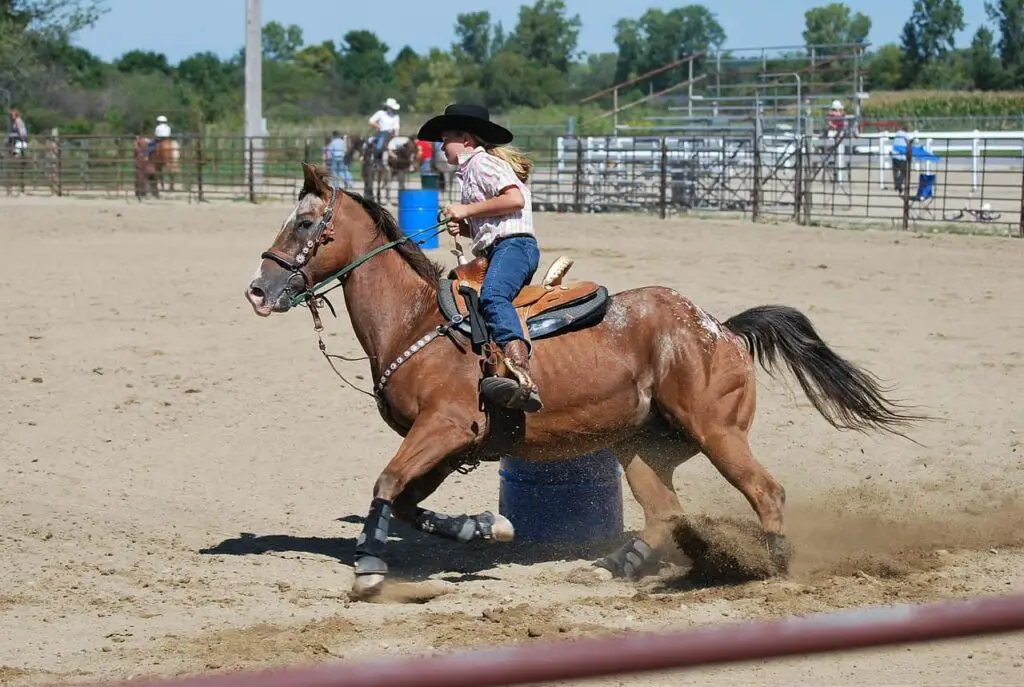 barrel-race